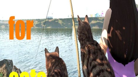 Fishing For Cats