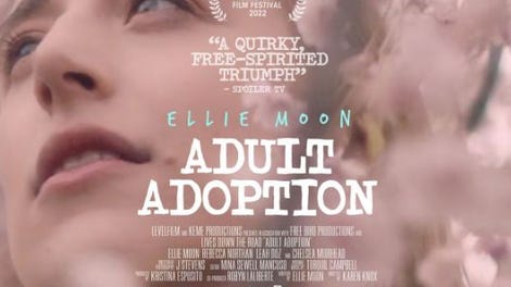 adult adoption movie reviews