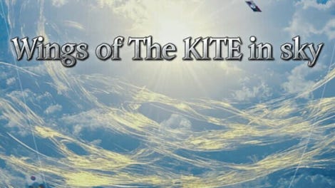 Wings of the Kite in Sky