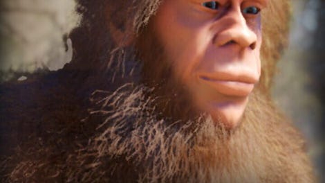 Bigfoot Life