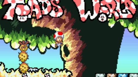 Toad's World