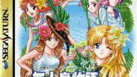 Mujintou Monogatari R: Futari no Love Love Ai Land