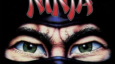 The Last Ninja