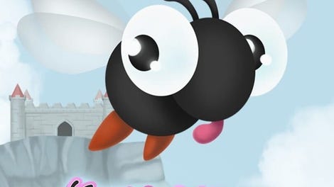 Nosy Little Fly