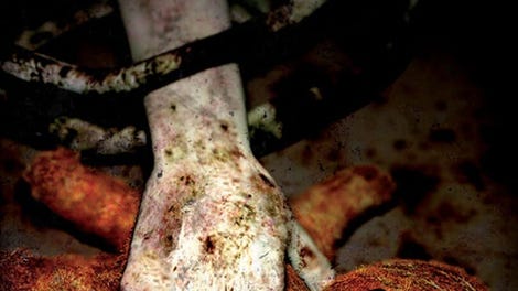Decay: The Mare