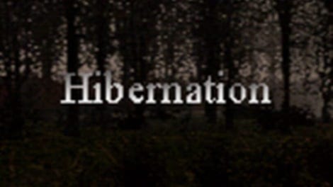 Hibernation