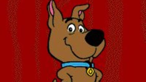 Scrappy Stinks!