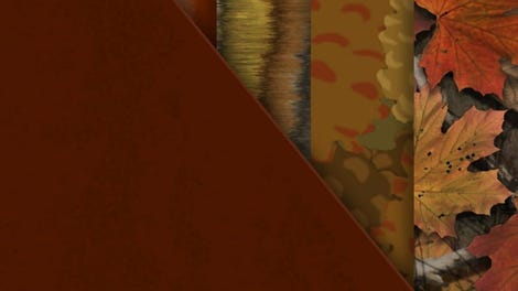 TheHunter: Call of the Wild - New England Mountains Veteran Cosmetic Pack