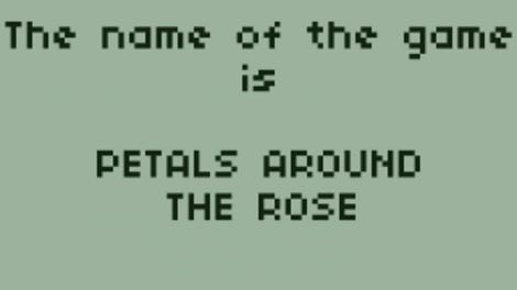 Petals Around the Rose