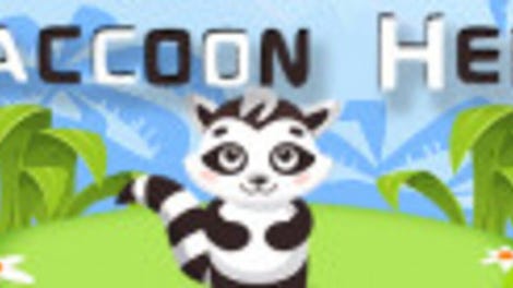Raccoon Hero