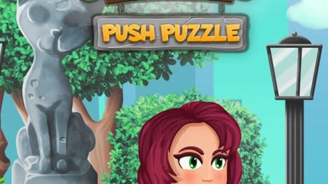Push Puzzle: Rescue Adventure