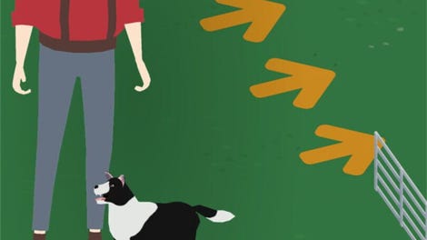 Sheepdog Simulator