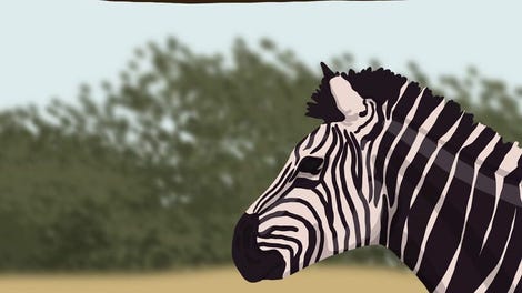 The Zebra Z