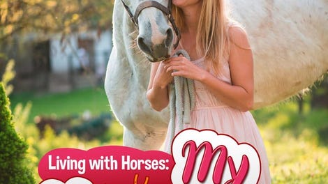 Living with Horses: My Horse Farm