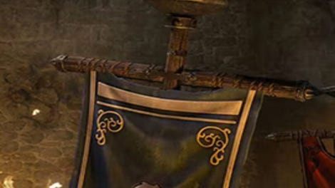The Elder Scrolls Online: Fallen Banners