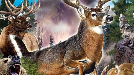 Cabela's: The Hunt - Championship Edition