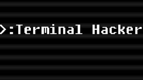 Terminal Hacker