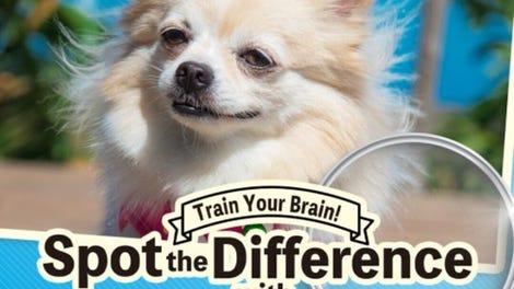 Train Your Brain! Spot the Difference with Dog Photos
