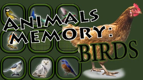 Animals Memory: Birds