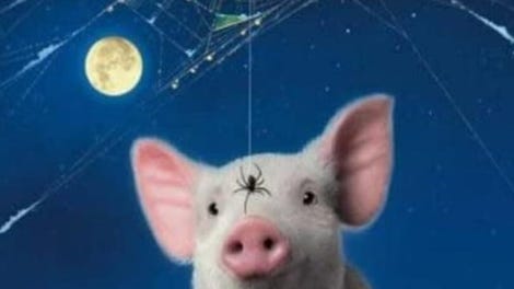 Charlotte's Web