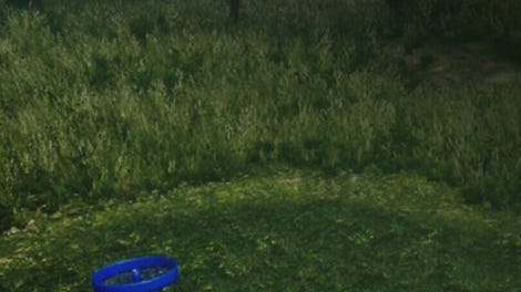 Ultimate Disc Golf