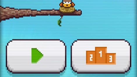 Falling Bird