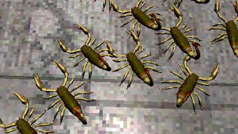 Swarm Horror