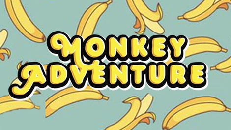 Monkey Adventure