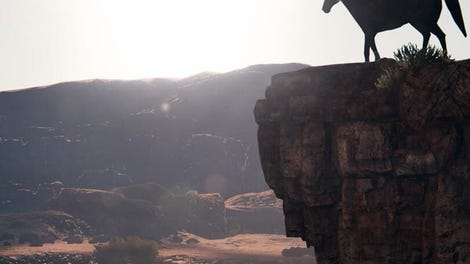 This Land Is My Land
