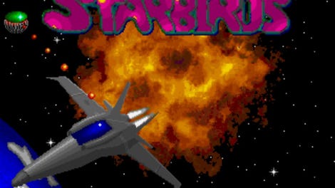 Starbirds