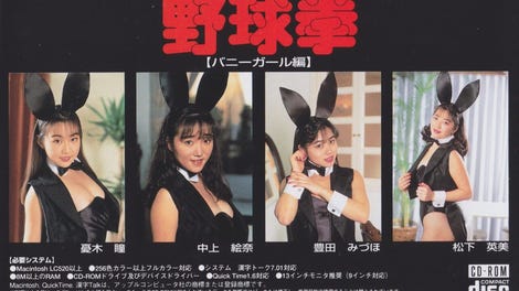 The Yakyuken: Bunny Girl