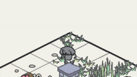 Zoo Packs