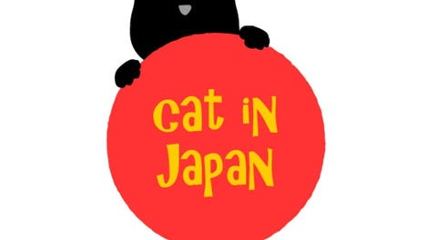 Cat in Japan