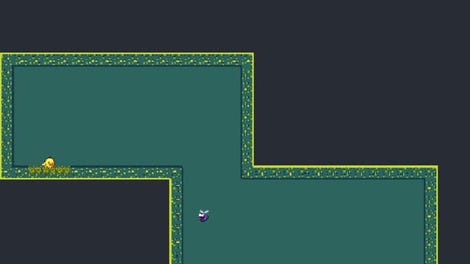 Tunnel Bird