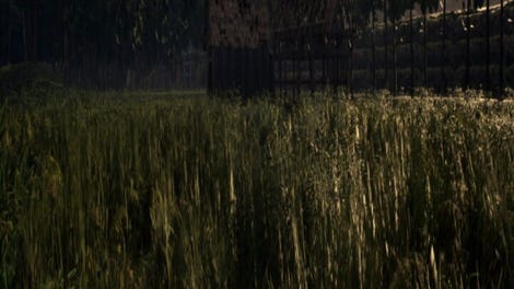 Survive the Forest