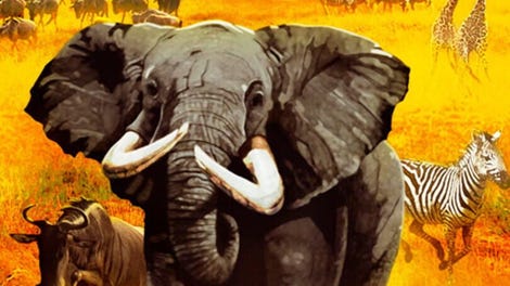 Wild Earth: Africa