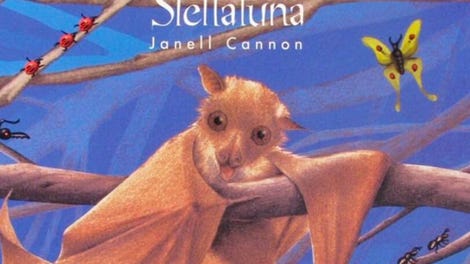 Living Books: Stellaluna