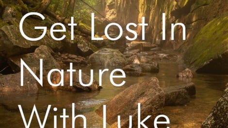 Get Lost in Nature With Luke - Kotaku