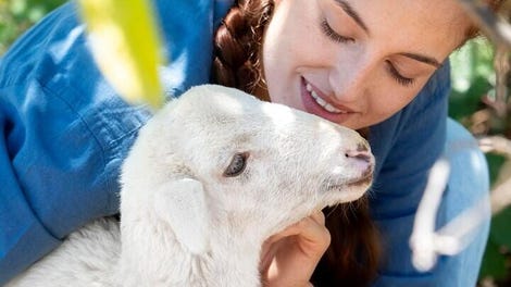 My Life: Farm Vet