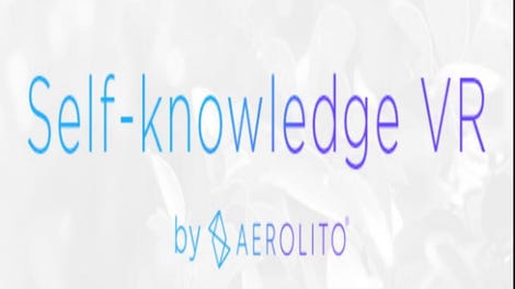 Self-knowledge VR
