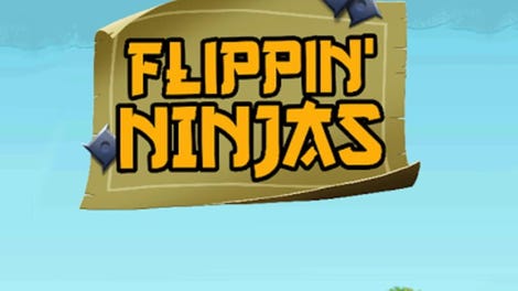 Flippin Ninjas