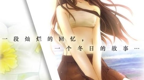 Narcissu
