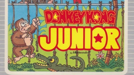 Donkey Kong Junior