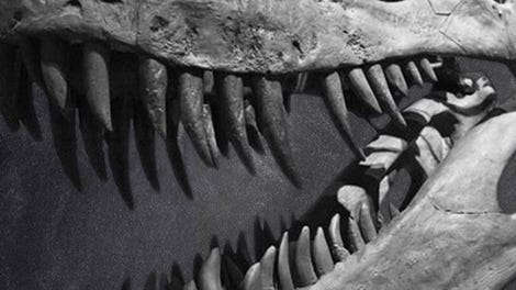 Dinosaur Assassin: Evolution