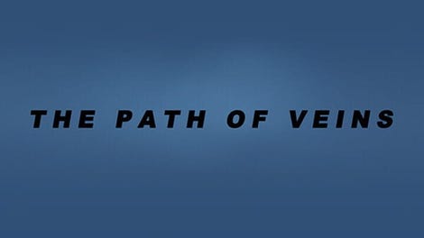 The Path of Veins