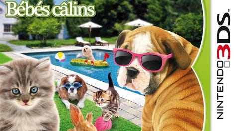 Ma Pension d'Animaux : Bebes Calins