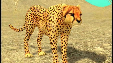 Wild Cheetah Sim 3D
