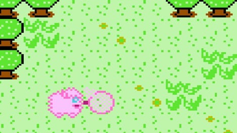 Chasing Bottaflies