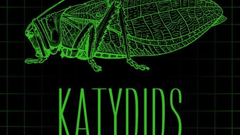 The Katydids Incident