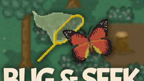 Bug & Seek